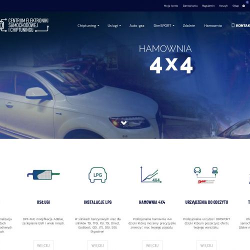 Koszalin - usuwanie egr