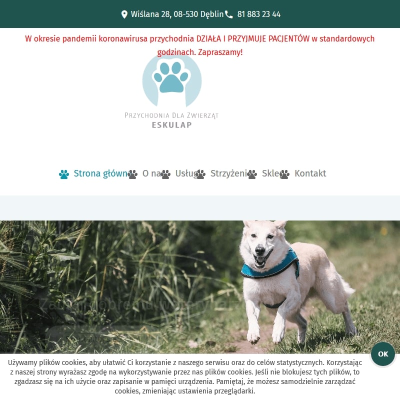 Weterynarz caładoba w Dęblinie