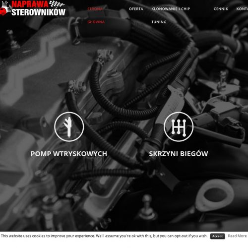 Naprawa sterowników opel