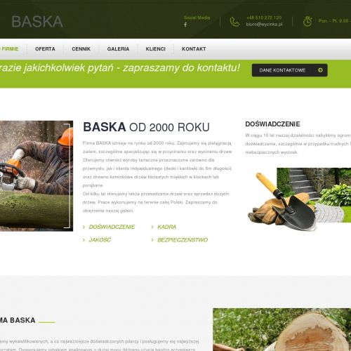 Przycinanie drzew - Chorzów