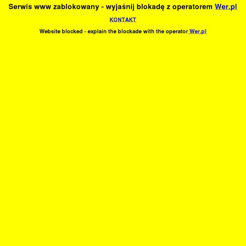 Modele do sklejania czołgi w Poznaniu