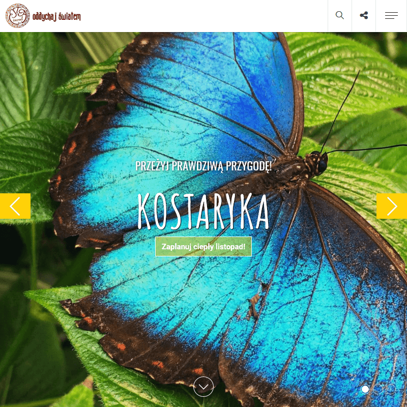 Wakacje na bali - Poznań