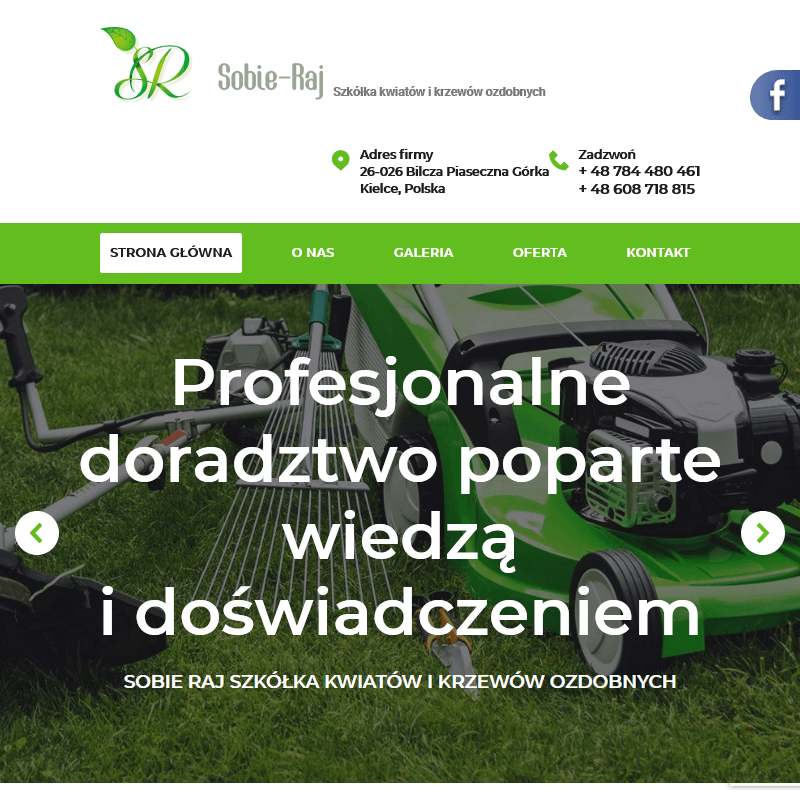 Drzewka liściaste do ogrodu